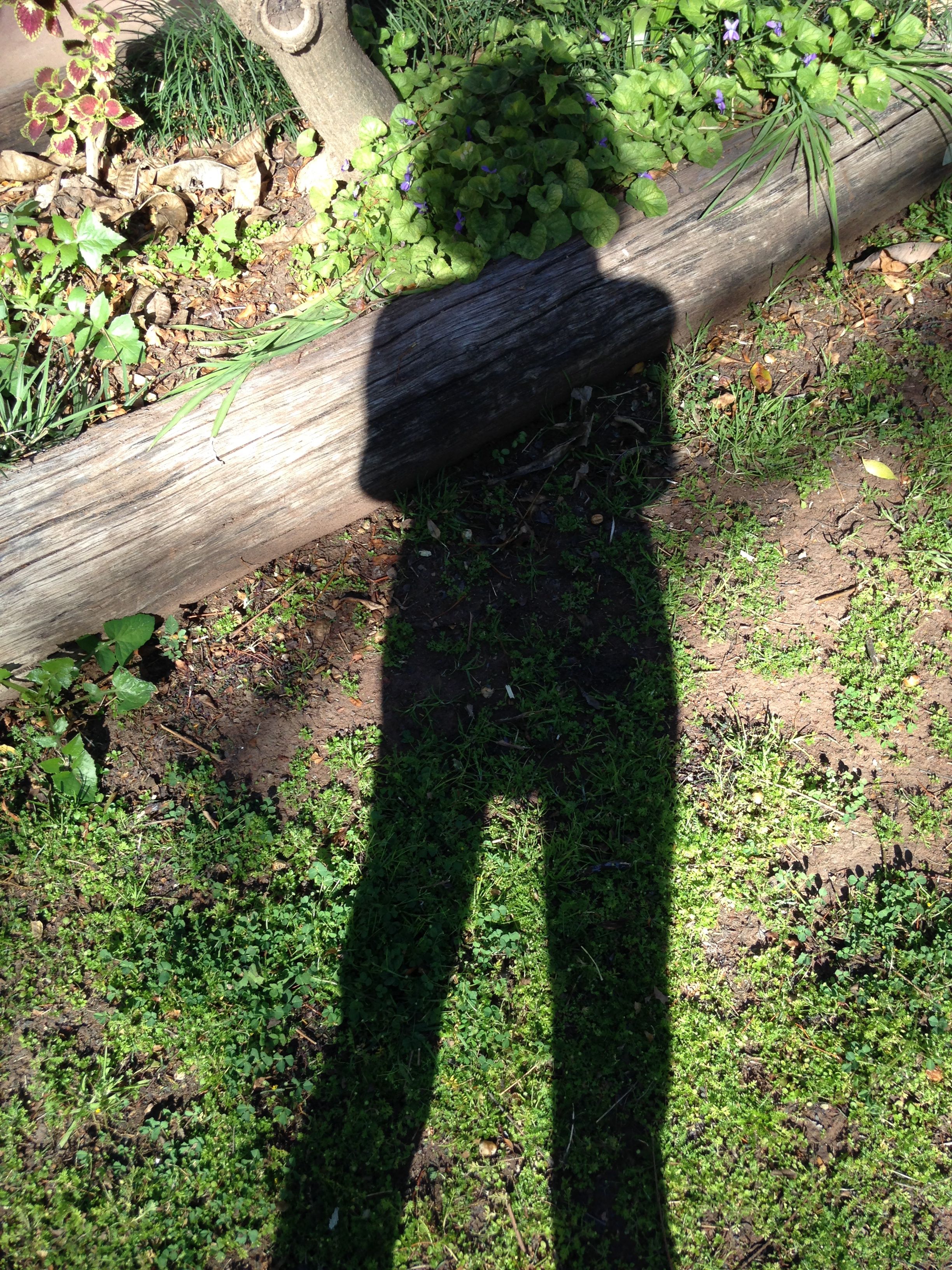 Kaye Shadow Kaye Shadow