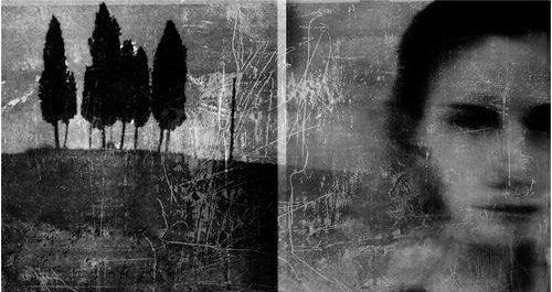 Traverser les fôrets, photo de Antonio Palmerini, Bolgheri