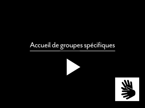 Vidéo traduite en LSF, groupes à besoins spécifiques