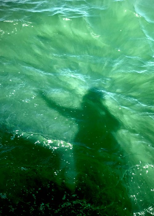 © Julie Rousse 2021 © Julie Rousse 2021