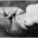 image_galerie